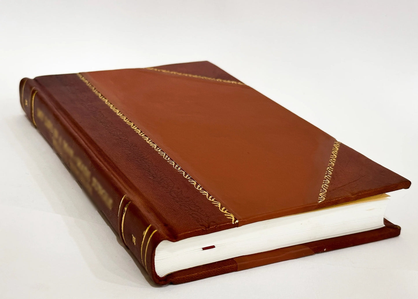 Rapporto generale sulla situazione delle strade sulle bonificazioni e sugli edifizj pubblici dei reali dominj al di qua del faro diretto a s. e. il ministro delle finanze dalla (1827) [leather bound]