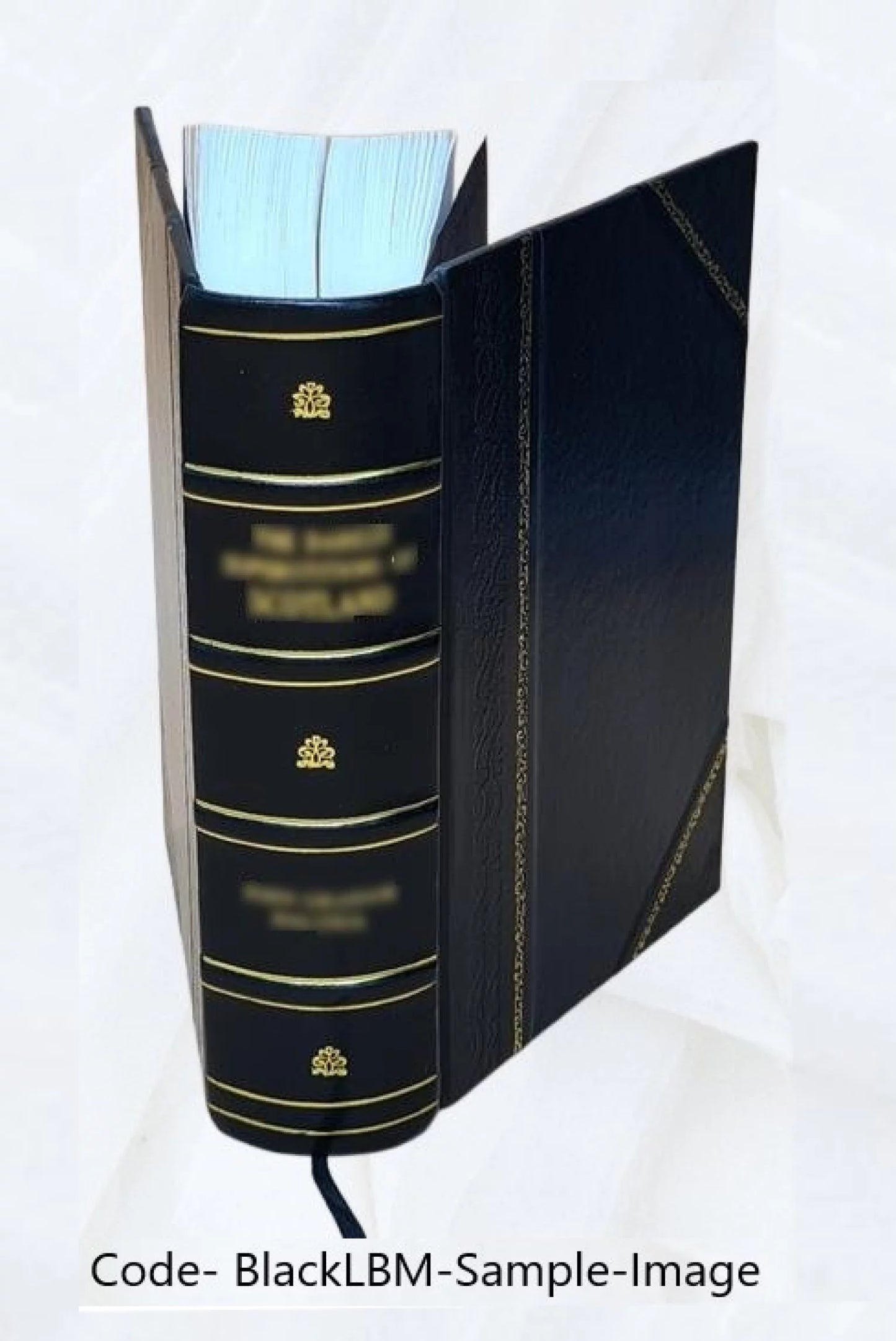 Raccolta delle provvisioni intorno le acque, i ponti, e le strade volume 1 1828 [leather bound]