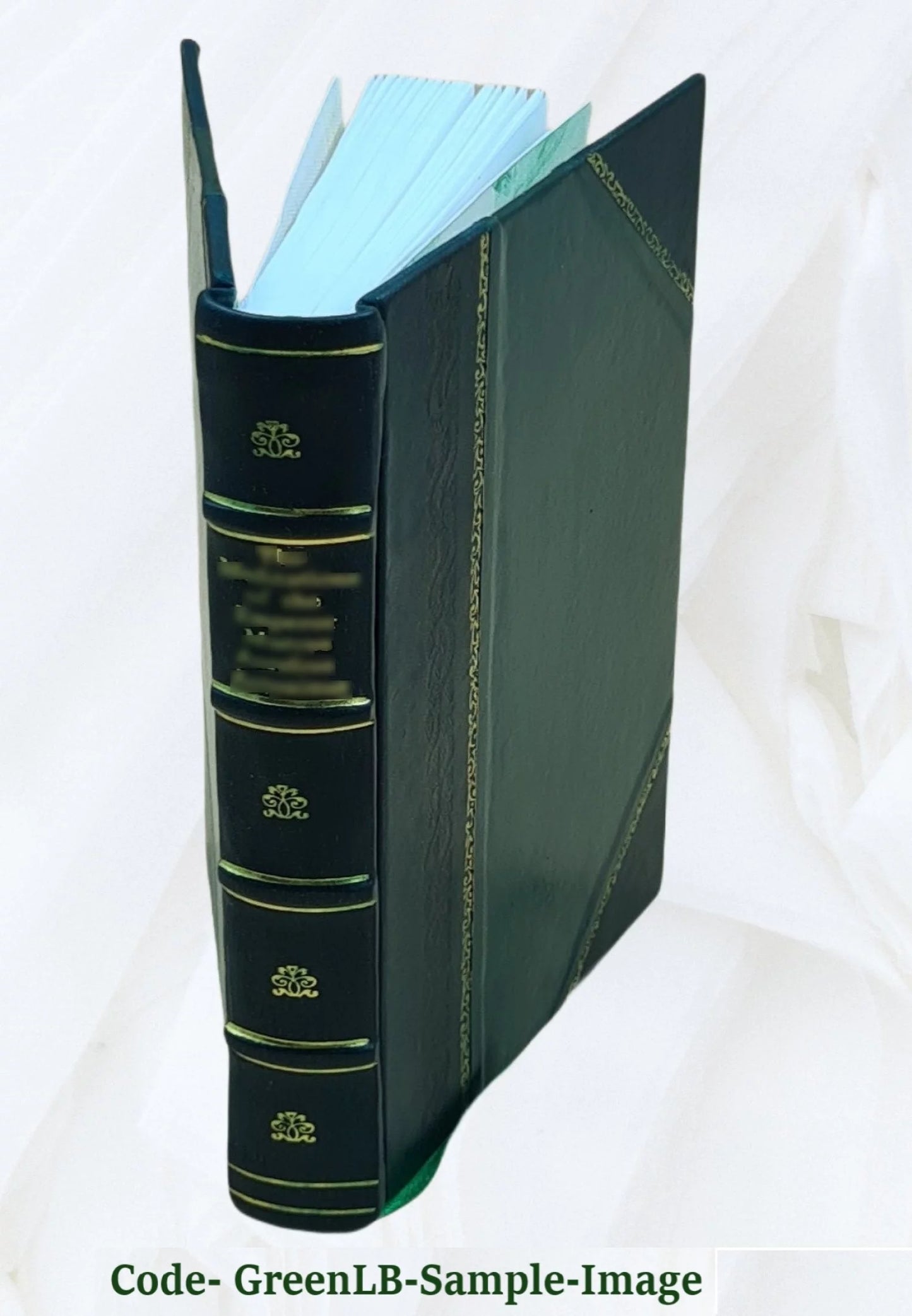 Enten - eller: et livs-fragment volume 2 1878 [leather bound]