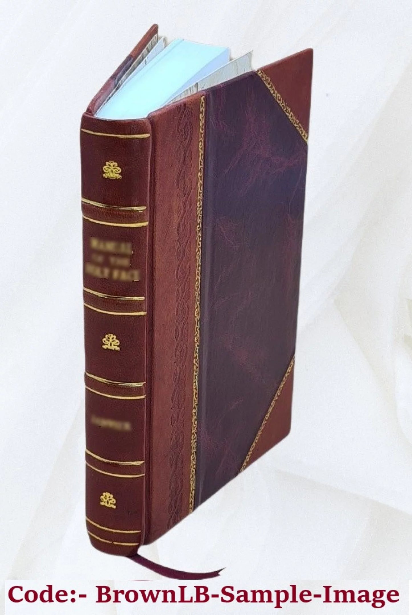 Gladstonian ghosts 1905 [leather bound]