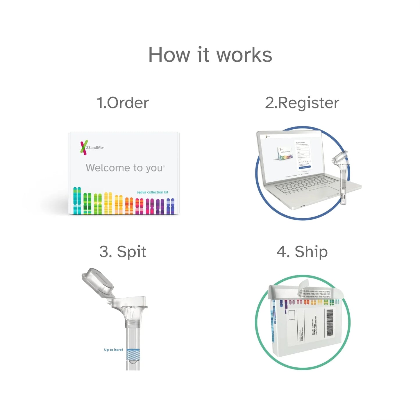 23andme+ premium membership bundle - dna test (before you buy see important test info below)