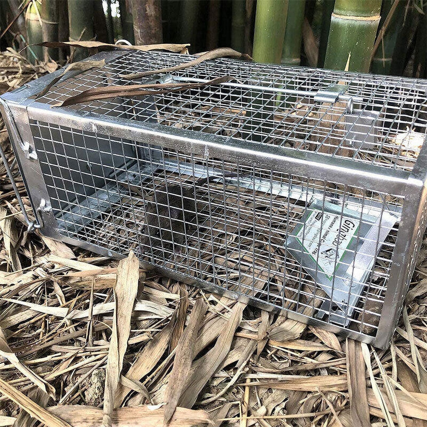 Angfeng humane rat trap cage animal pest rodent mice mouse control live bait catch