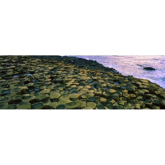 Giants causeway co antrim ireland - area designated a unesco world heritage site with basalt columns poster print by the irish image collection, 44 x 14 - large