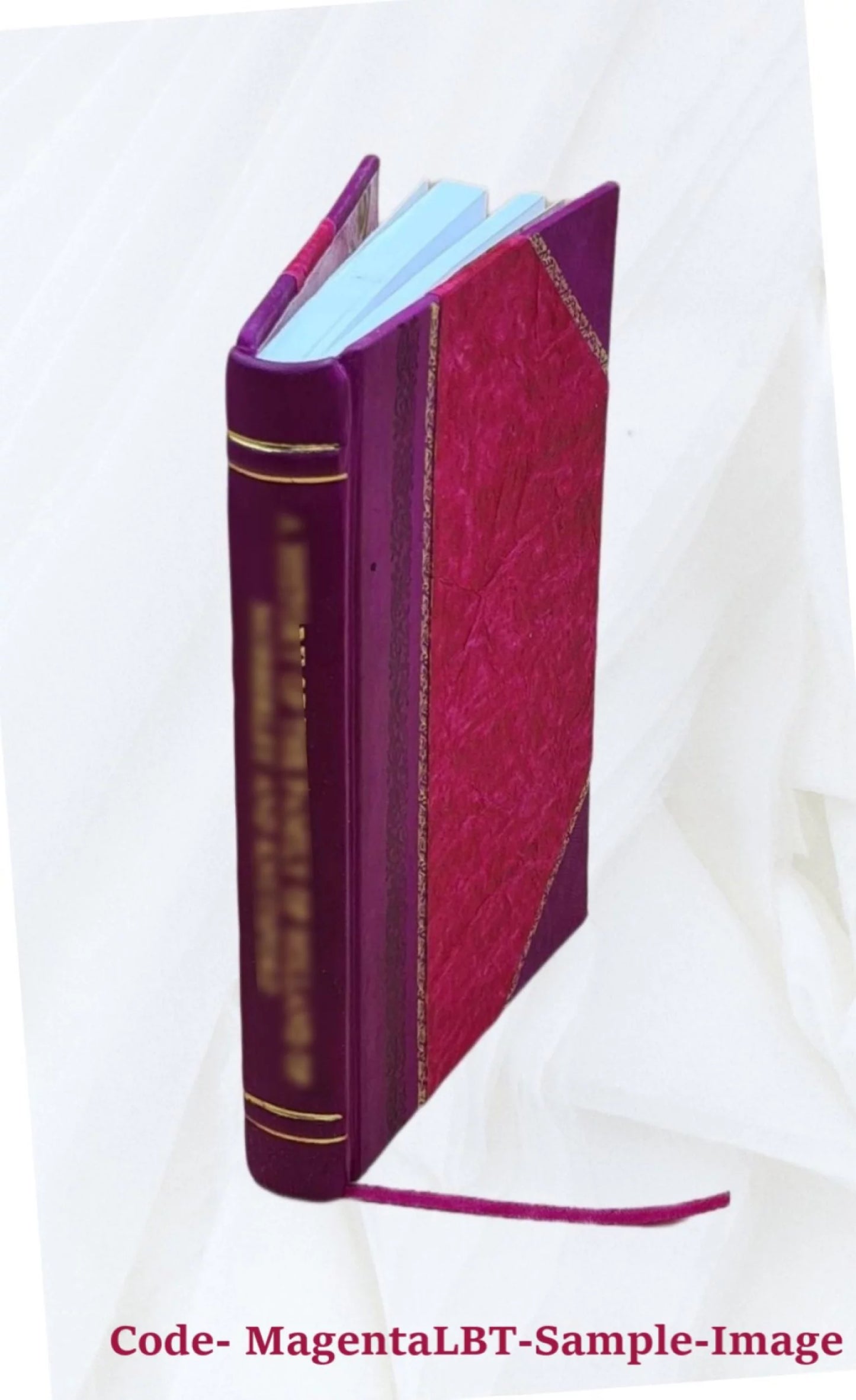 The wellington college french primer, by h.w. eve and f. de baudiss 1870 [leather bound]