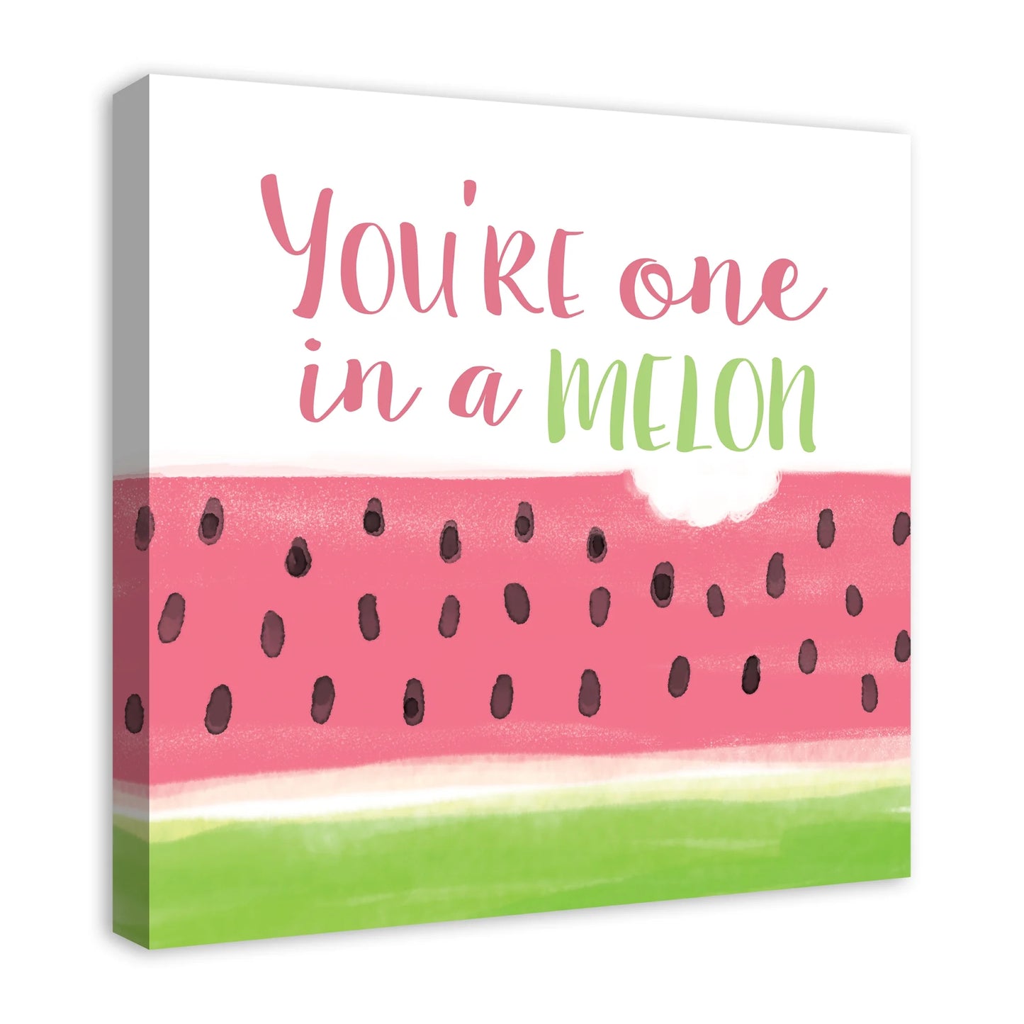 Creative products one in a melon 24x24 canvas wall art